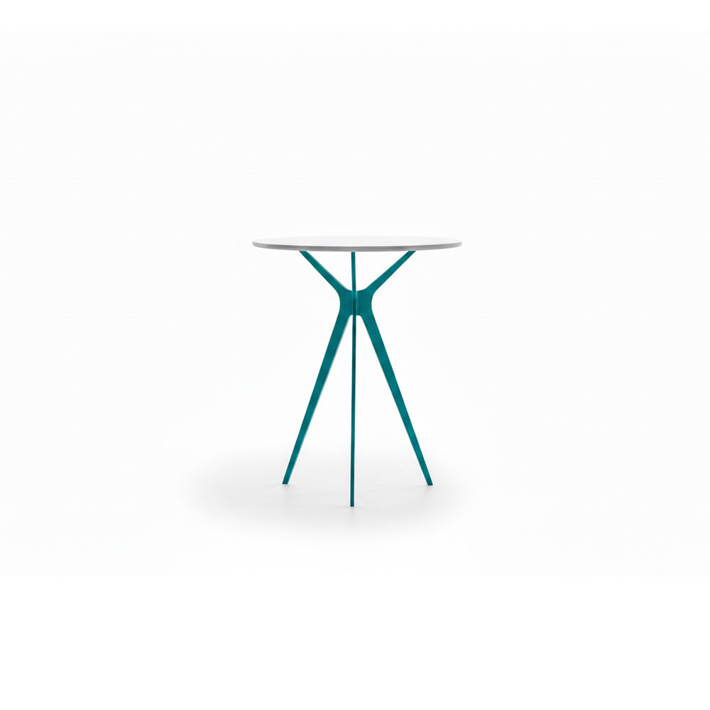 Tree — Tonin Casa