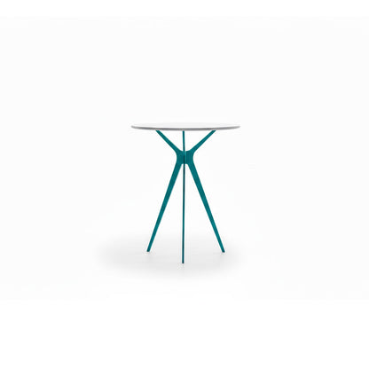 Tree — Tonin Casa