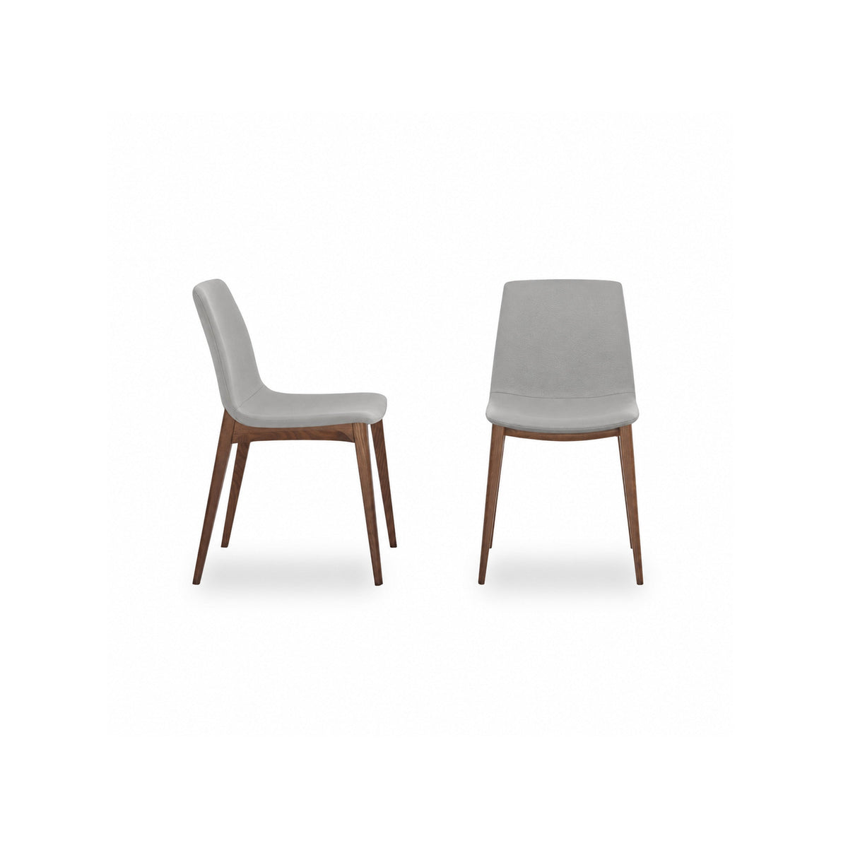 Aralia — Tonin Casa
