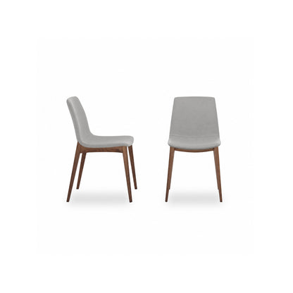 Aralia — Tonin Casa