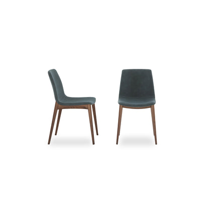 Aralia — Tonin Casa