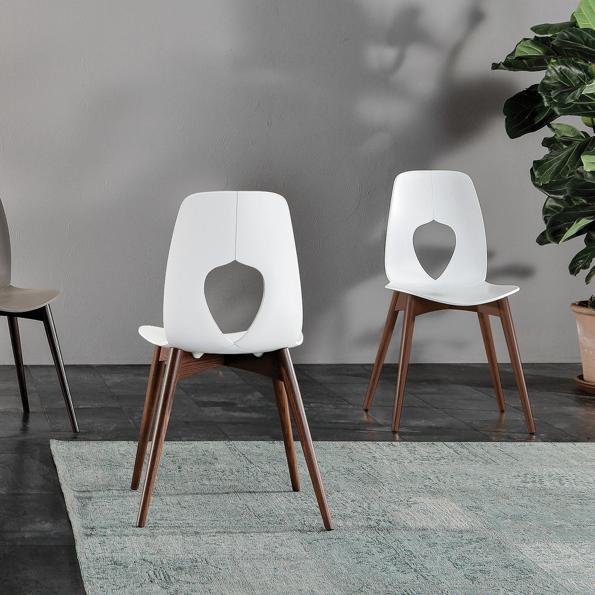 Hole Wood — Tonin Casa