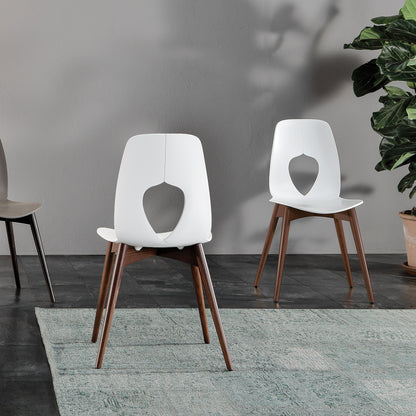 Hole Wood — Tonin Casa