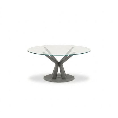 Tree — Tonin Casa