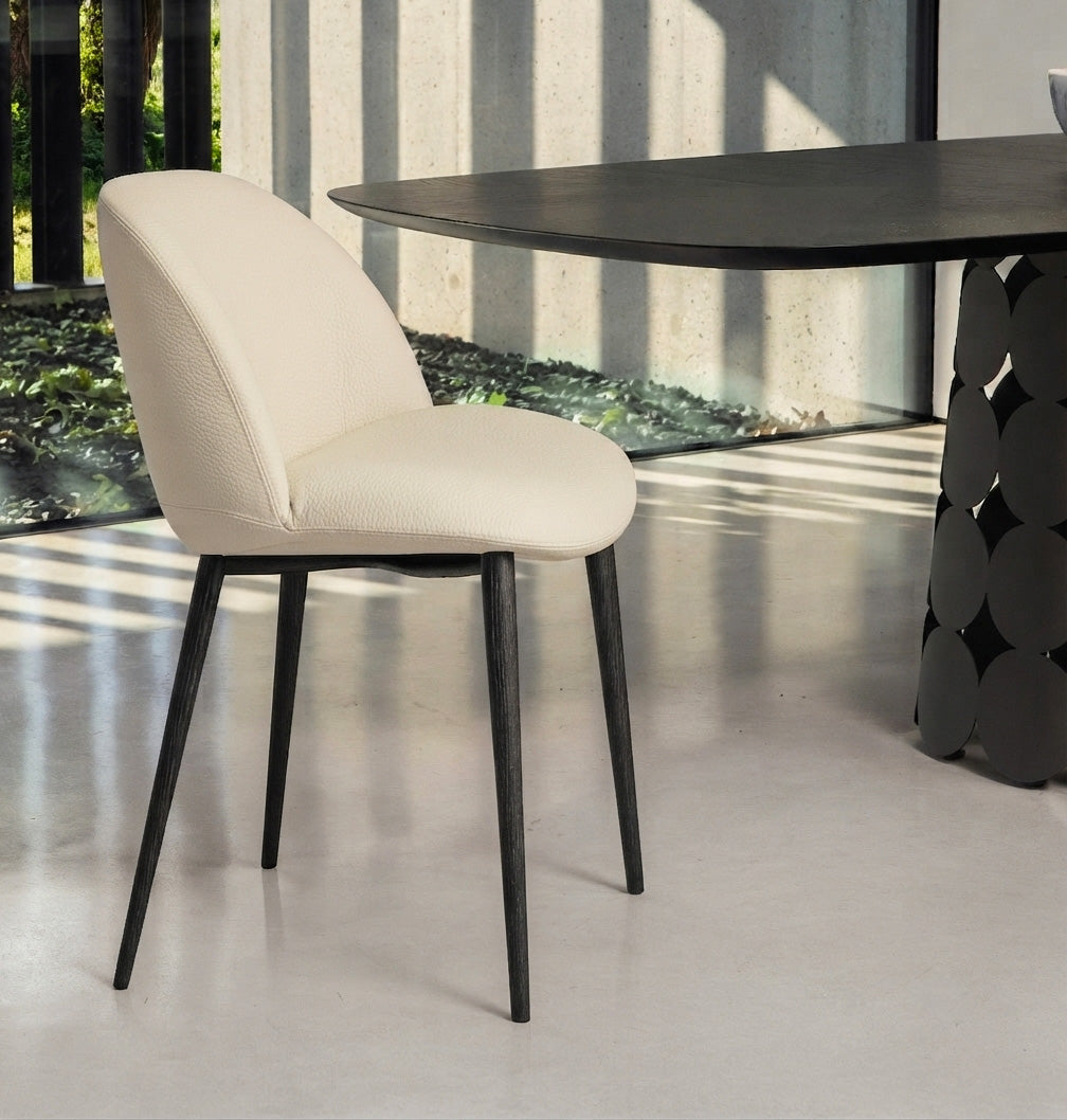 Olympia — Tonin Casa