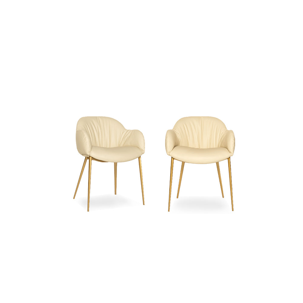 Olympia — Tonin Casa