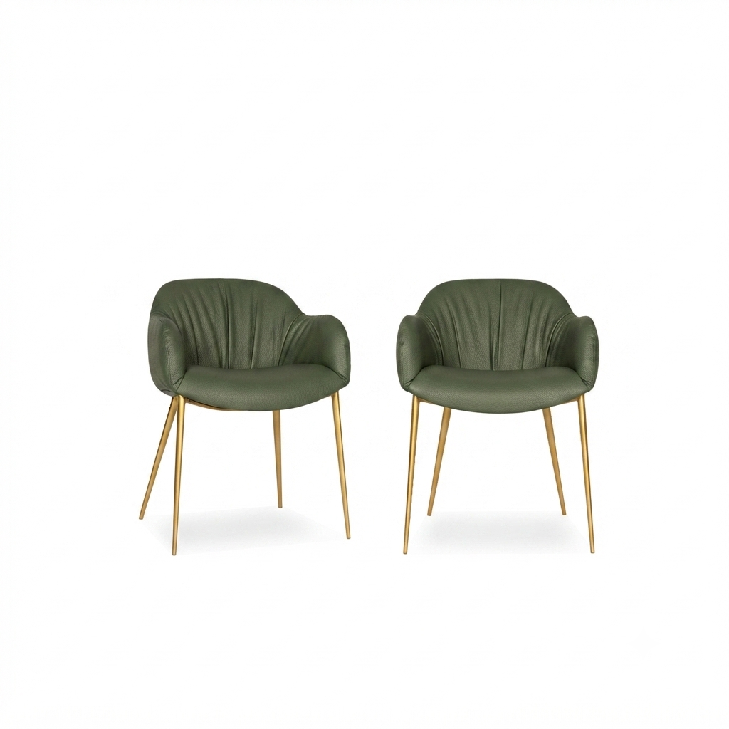 Olympia — Tonin Casa
