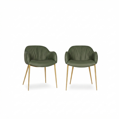 Olympia — Tonin Casa