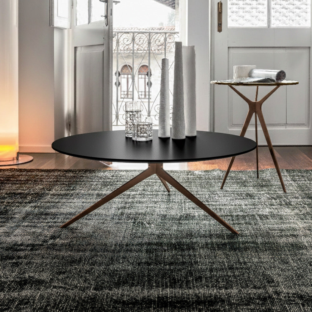 Tree — Tonin Casa