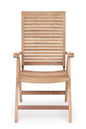 Bizzotto Maryland Armchair, article 0804382