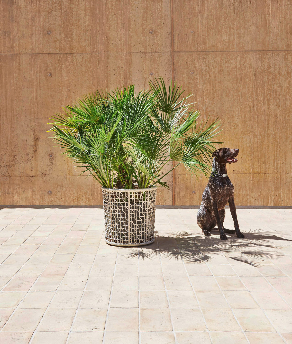 Varaschin Emma Flowerpot
