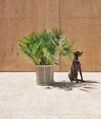 Varaschin Emma Flowerpot