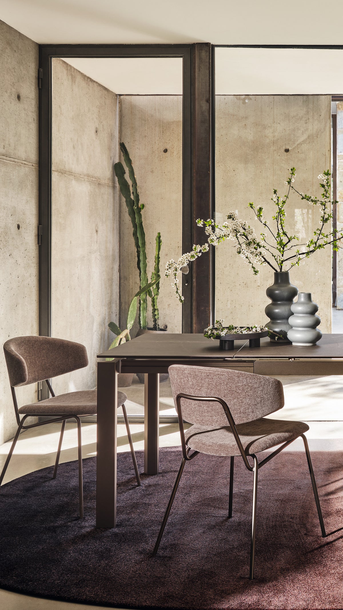Calligaris Chair Sophia