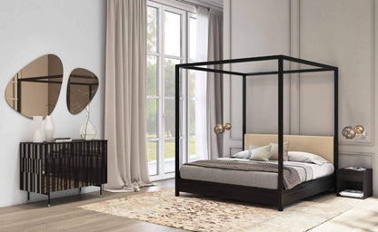 Havana — Tonin Casa (catalogue photo)