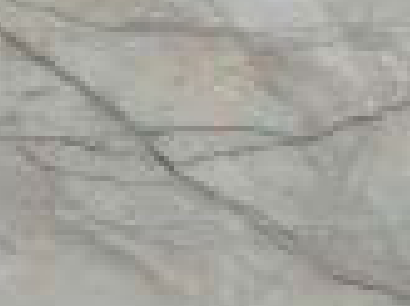 Grey Silver Roots marble