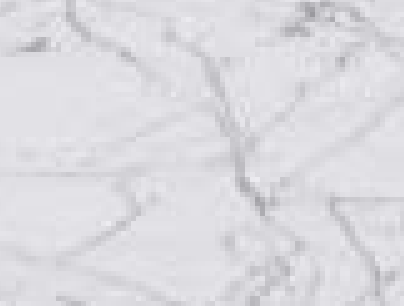 White Carrara marble