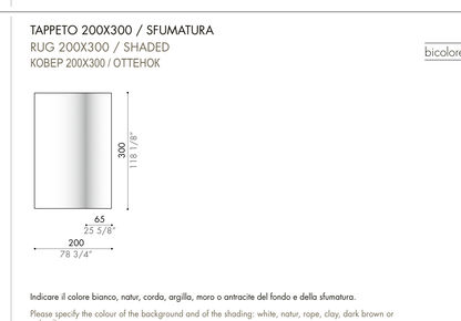SYON shaded — 200 × 300 cm