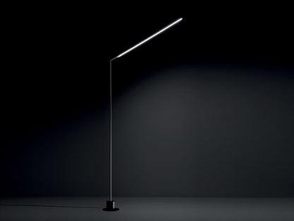 ESSENTIAL — Reflex Angelo