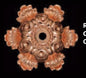 Finish · Copper / Asfour crystal