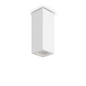 Ideal Lux Ceiling Light LOOK PL1 SQUARE D70 H200 GESSO — manufacturer article 355764