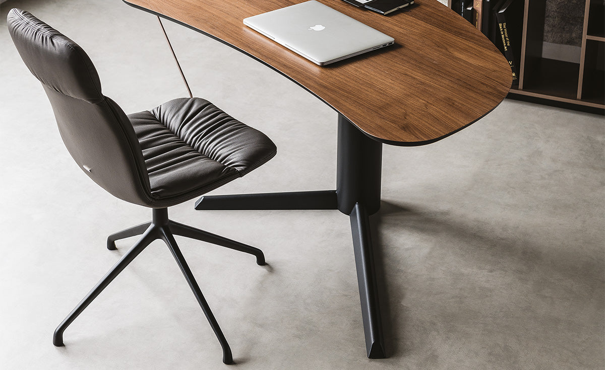 KELLY · photo 3 · official_hd
