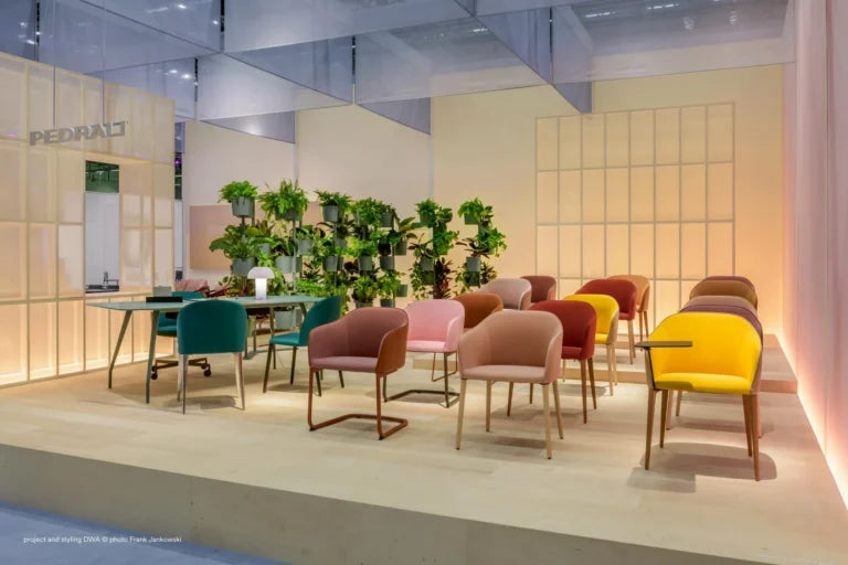 Pedrali Dining chair LAJA 2 883/2 — product view 3