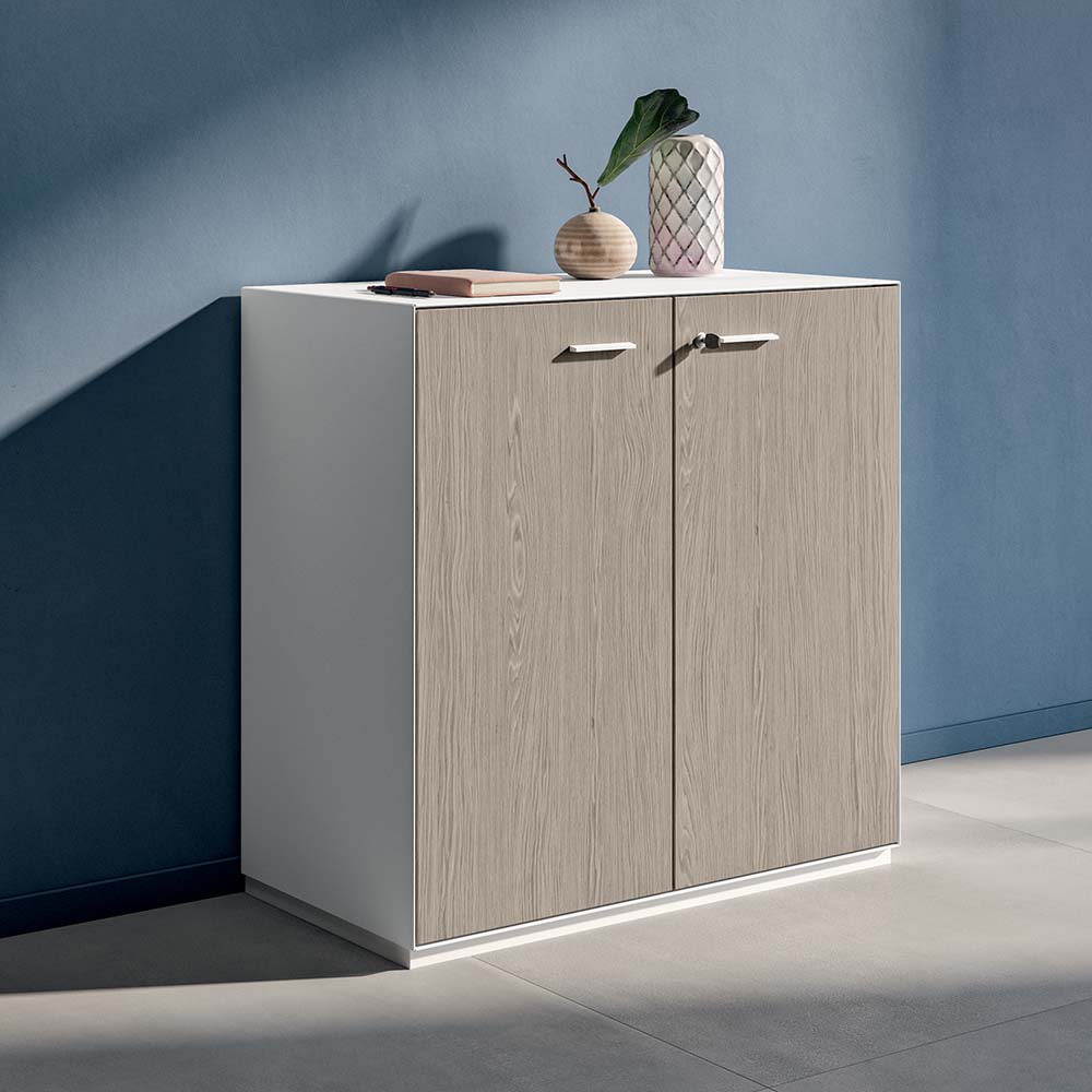 Quadrifoglio Storage Cabinet with metal carcass and metal double hinged doors - lockable, includes two metal shelves
