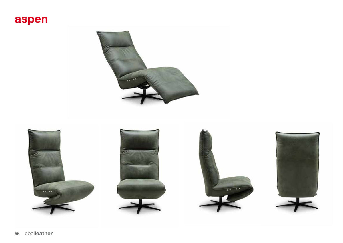 Gallery 1 · Recliner Aspen