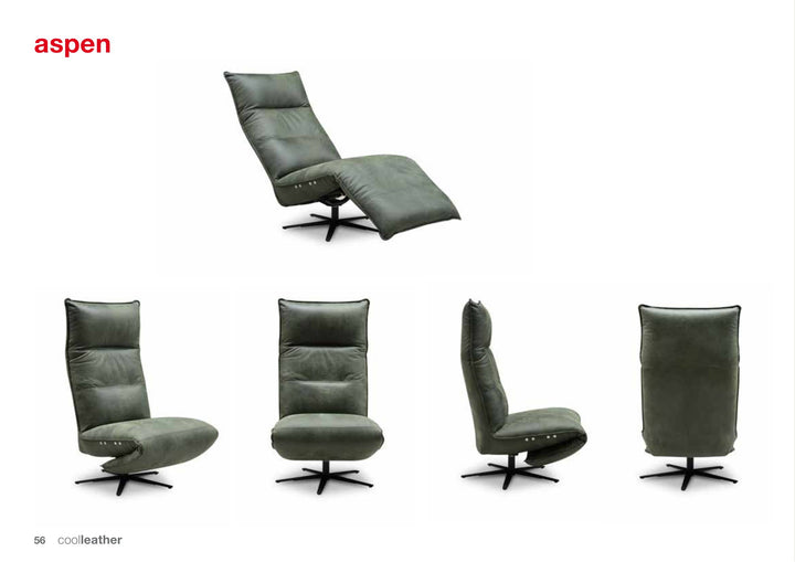 Gallery 1 · Recliner Aspen
