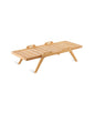 Unopiù Synthesis Rectangular coffee table with handles | Unopiù