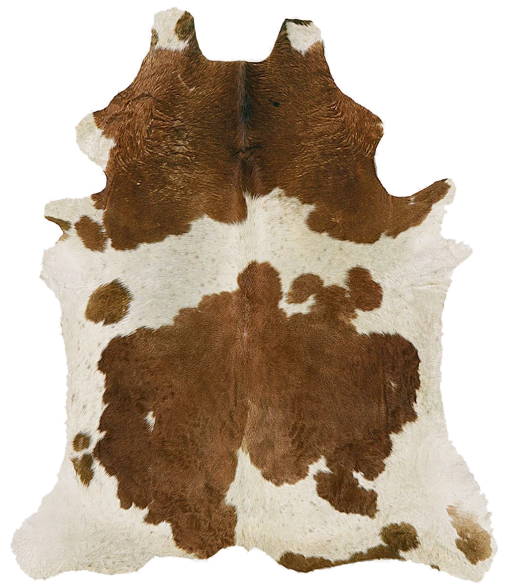 Tisca Cow 07 product example