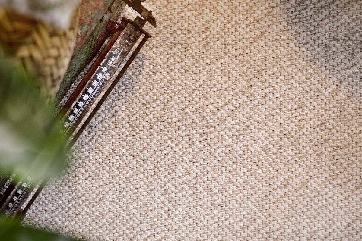 Tisca Nido2502