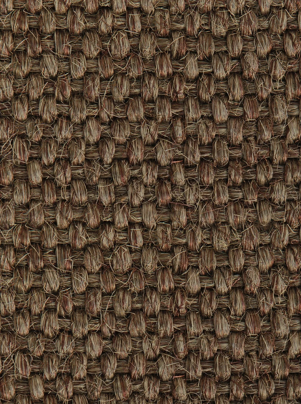 Tisca Alcanta Indoor Rug — official manufacturer photograph